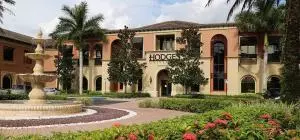 جامعة هودجز