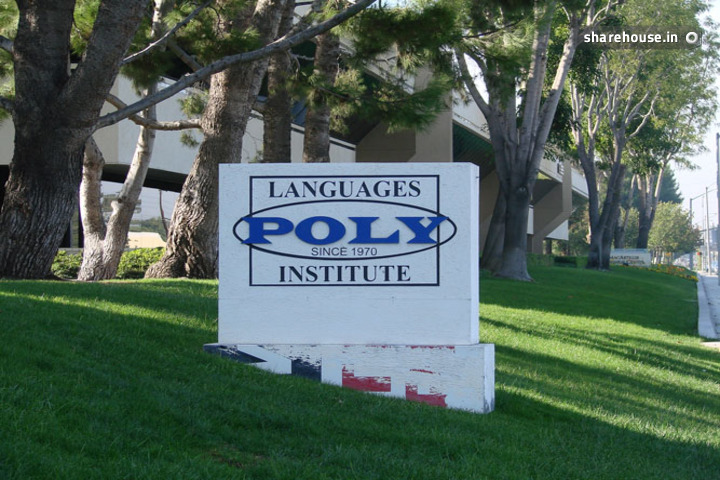 معهد بولي للغات – Poly Language Institute