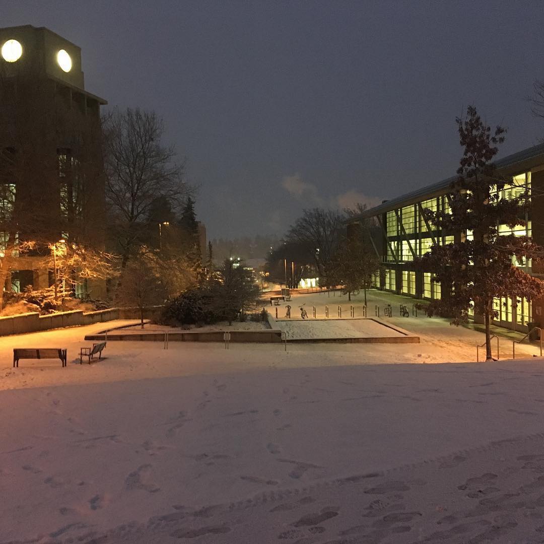 جامعة أيداهو – The University of Idaho