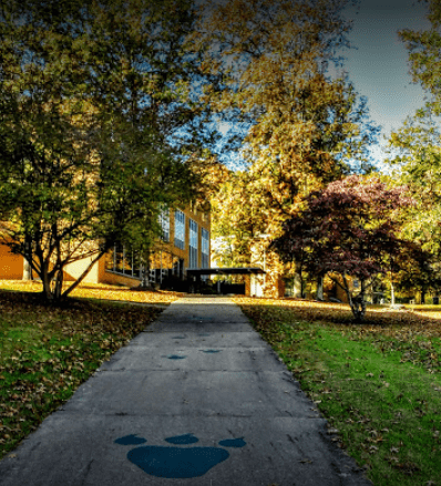 جامعة سالم – Salem University