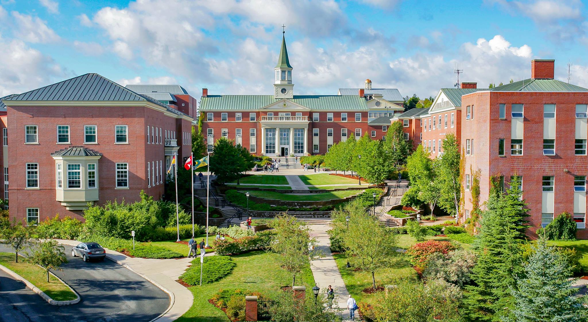 جامعة سانت توماس – St Thomas university