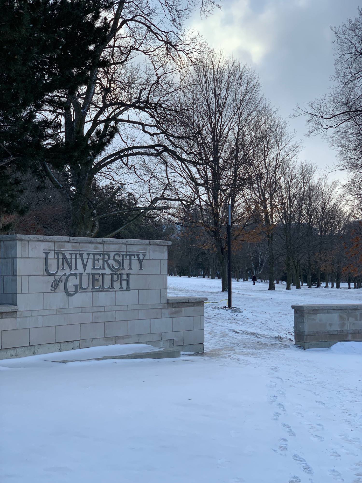 جامعة غويلف – The University of Guelph