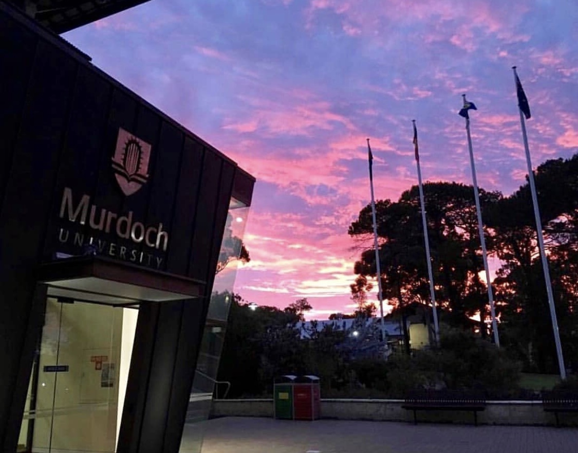 جامعة مردوخ – University of Murdoch