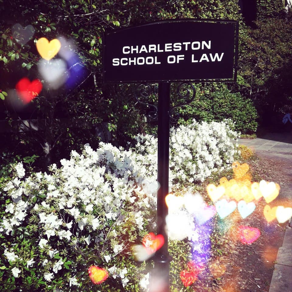 كلية الحقوق في تشارلستون –  The Charleston School of Law