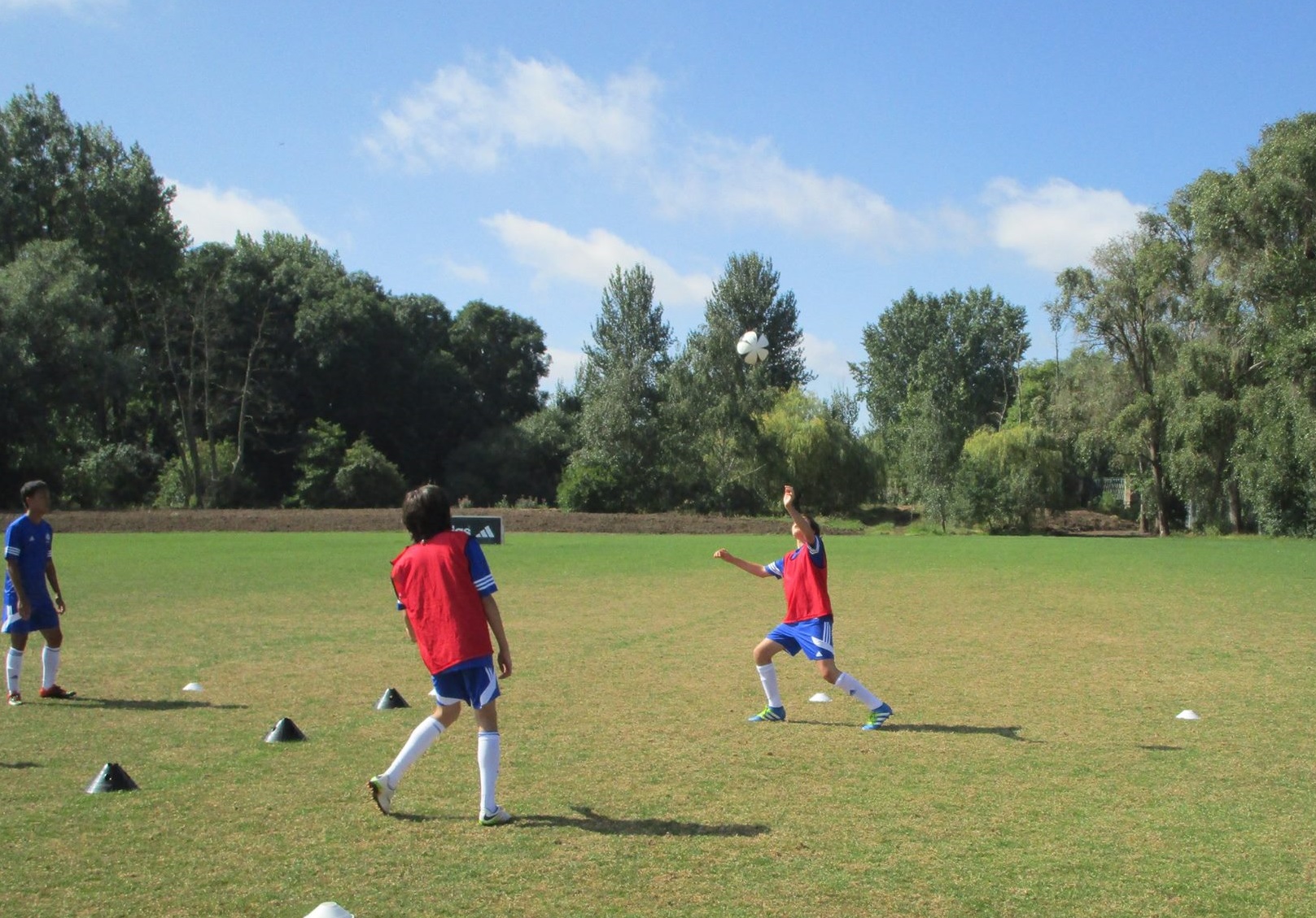 معهد الخيارات الدولي – دبلن Choices international – Dublin