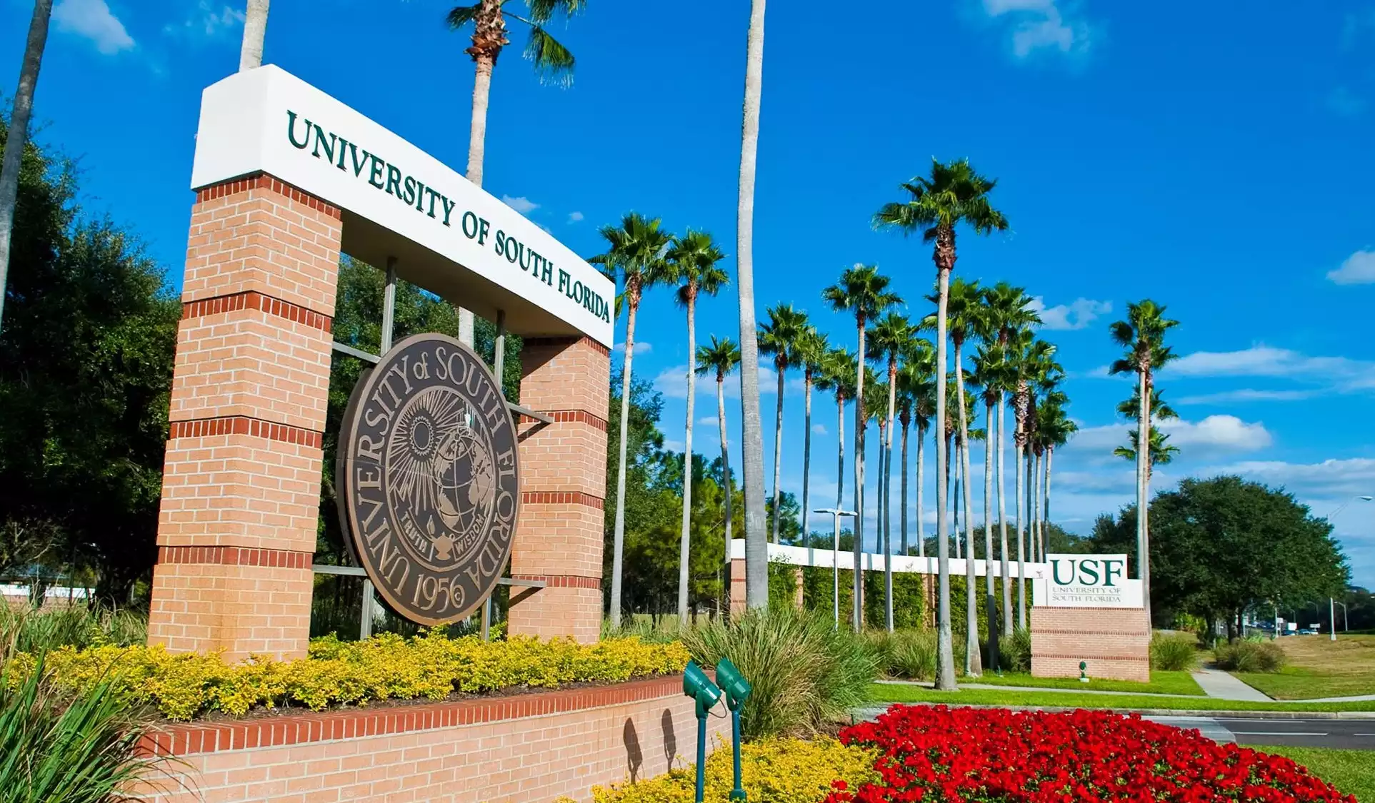 جامعة جنوب فلوريدا UNIVERSITY OF SOUTH FLORIDA