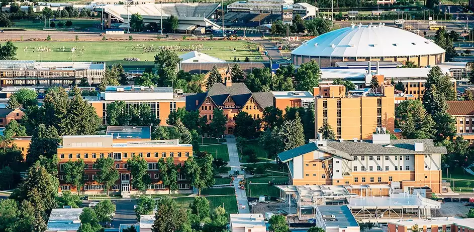 جامعة ولاية مونتانا Montana state university