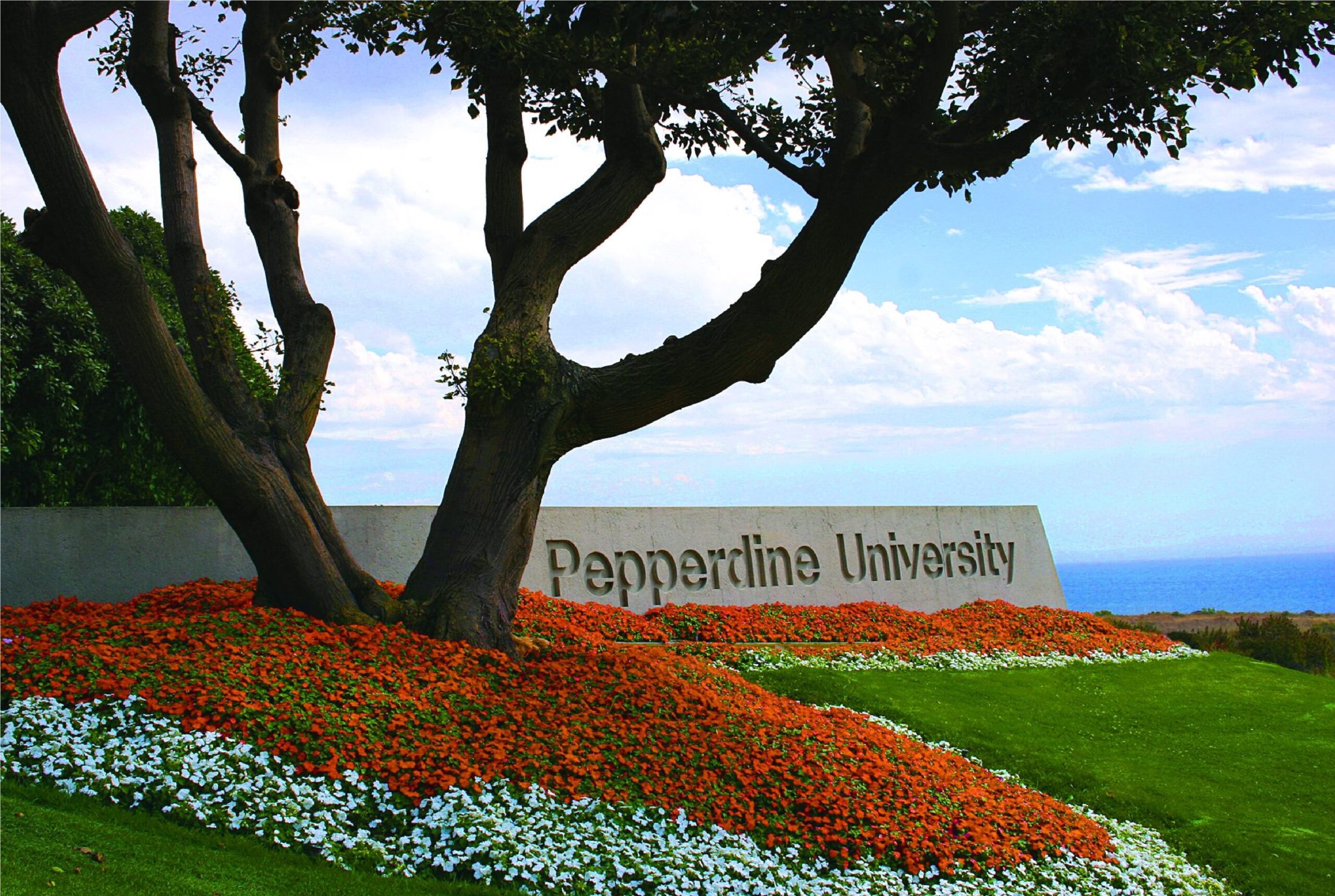 جامعة ببردين Pepperdine University