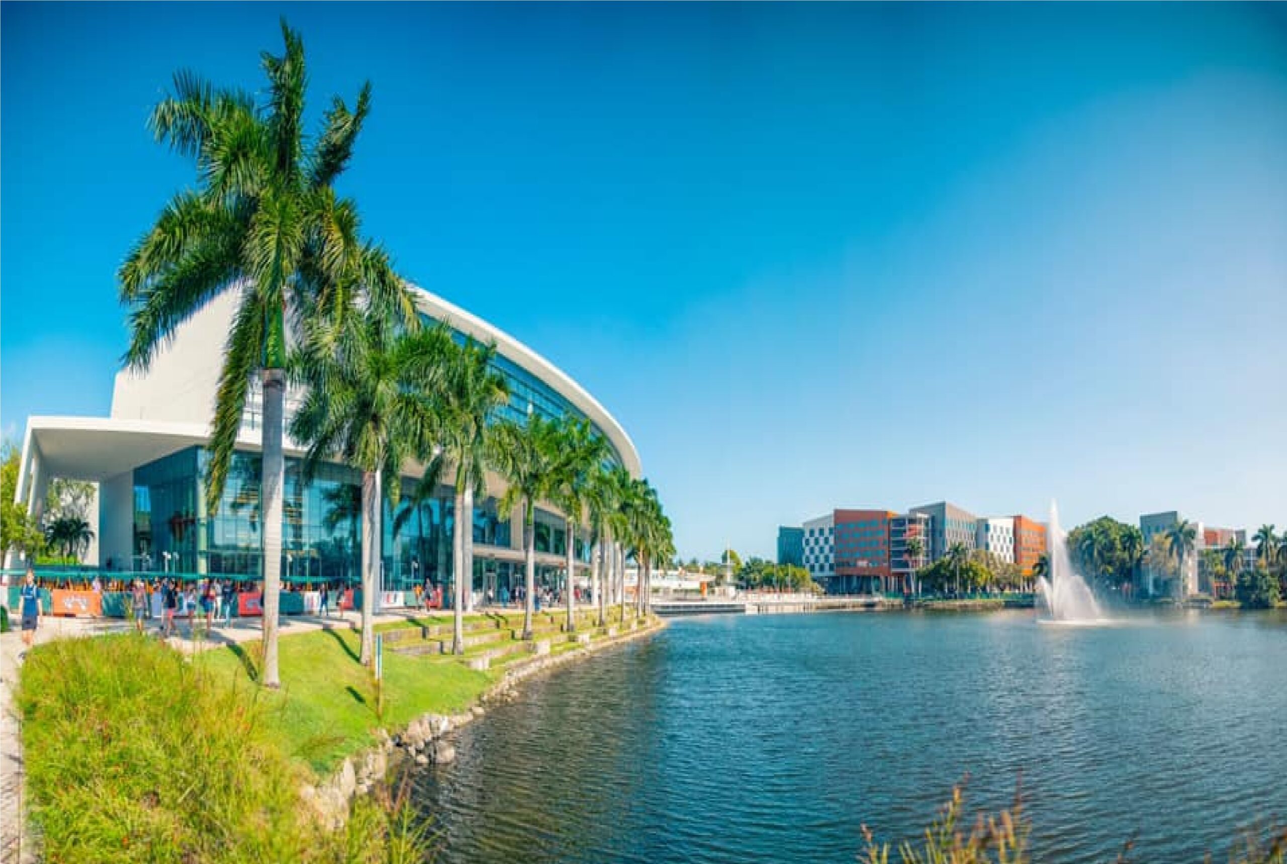 جامعة ميامي University of Miami