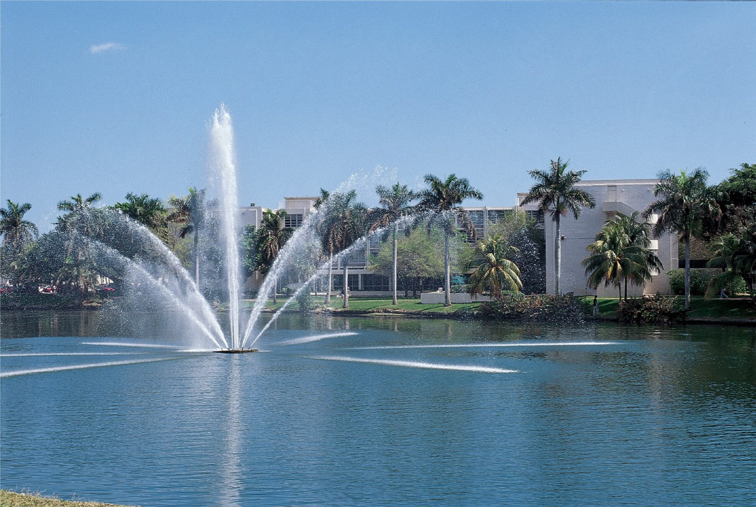 جامعة ميامي University of Miami